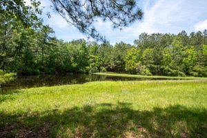 Secluded Big Thicket Recreational Ranch Kountze